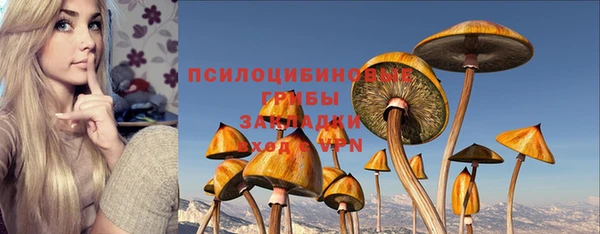 эйфоретик Майский