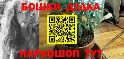 соль ск Дубна