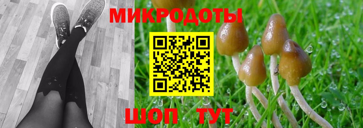 Псилоцибиновые грибы Magic Shrooms  продажа наркотиков  Камышлов  Вход с VPN 